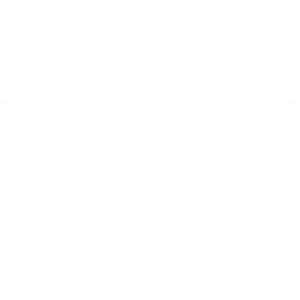Партнери Viking
